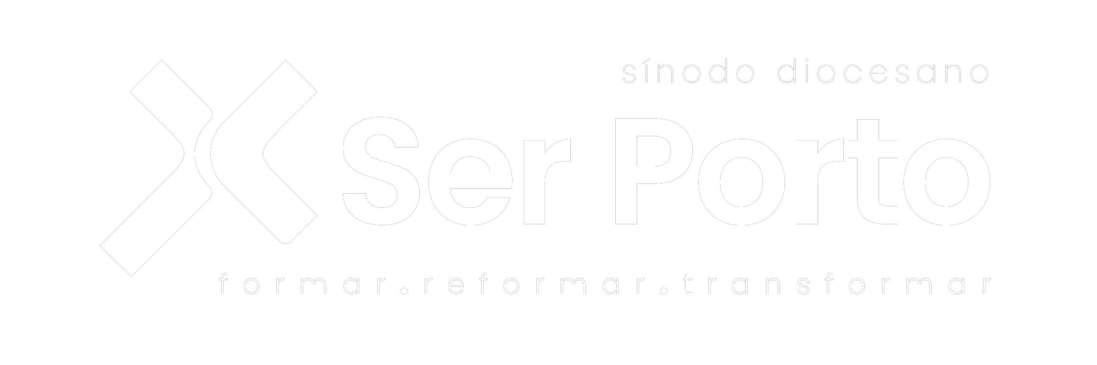 Sínodo Diocesano do Porto